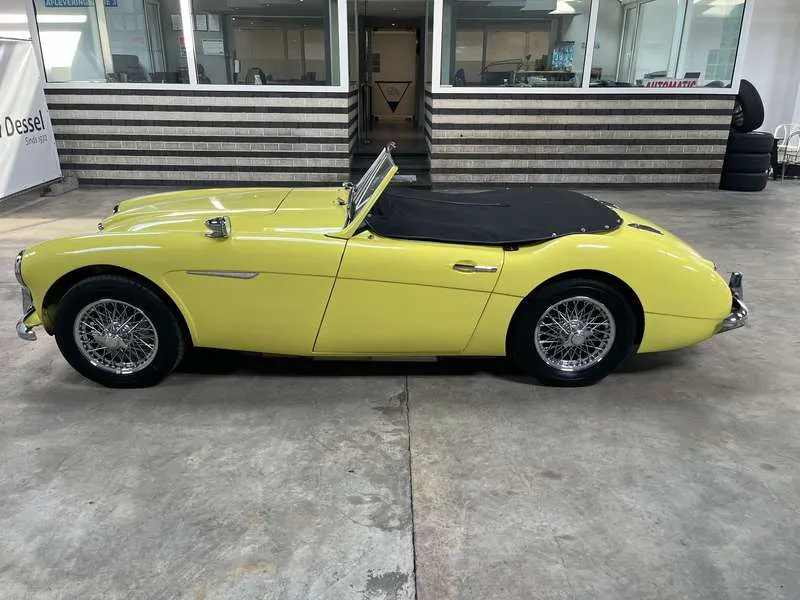 Austin-Healey 3000 MK1 BT7 Image 5