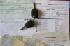 Nissan NV300 1.6 dCi Airco Cruise Controle Warranty Thumbnail 14