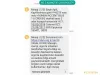 Hyundai Accent Blue 1.6 CRDI Biz Thumbnail 10