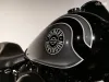 Harley-Davidson FLSTC  Thumbnail 2